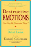 Destructive Emotions