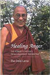Healing Anger - The Power of Patience from a Buddhist Perspective