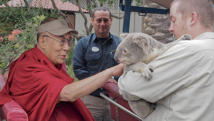 His Holiness the Dalai Lama petting an Australian koala bear during his visit to the San Diego Zoo in San Diego, CA, USA on June 18, 2017. Photo by Jeremy Russell/OHHDL His Holiness the Dalai Lama petting an Australian koala bear during his visit to the San Diego Zoo in San Diego, CA, USA on June 18, 2017. Photo by Jeremy Russell/OHHDL