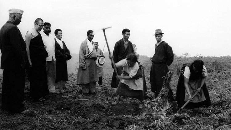 His Holiness the Dalai Lama watches women clearing-up tree roots for agricultural purposes in one of the Tibetan settlements in Soutn India in the 1960s. His Holiness the Dalai Lama watches women clearing-up tree roots for agricultural purposes in one of the Tibetan settlements in Soutn India in the 1960s.