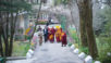 Namgyal Monastery's Long Life Offering for His Holiness - Dharamsala, HP, India
