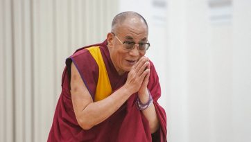 We are Social Animals